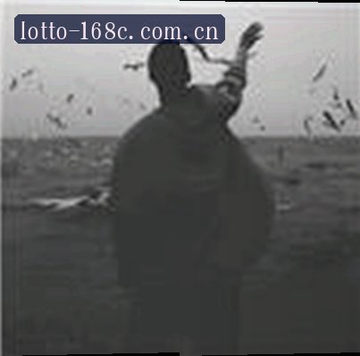 张磊